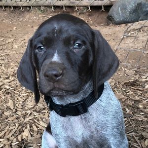 Meet your Posher, Trisha